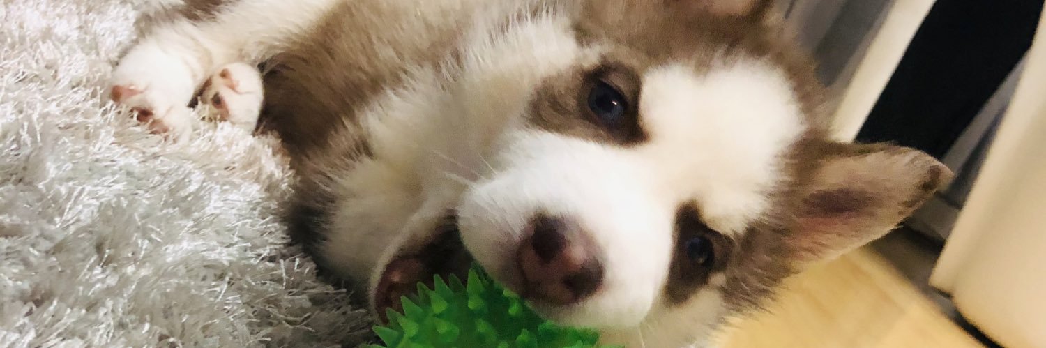 diegoodg4's profile banner image