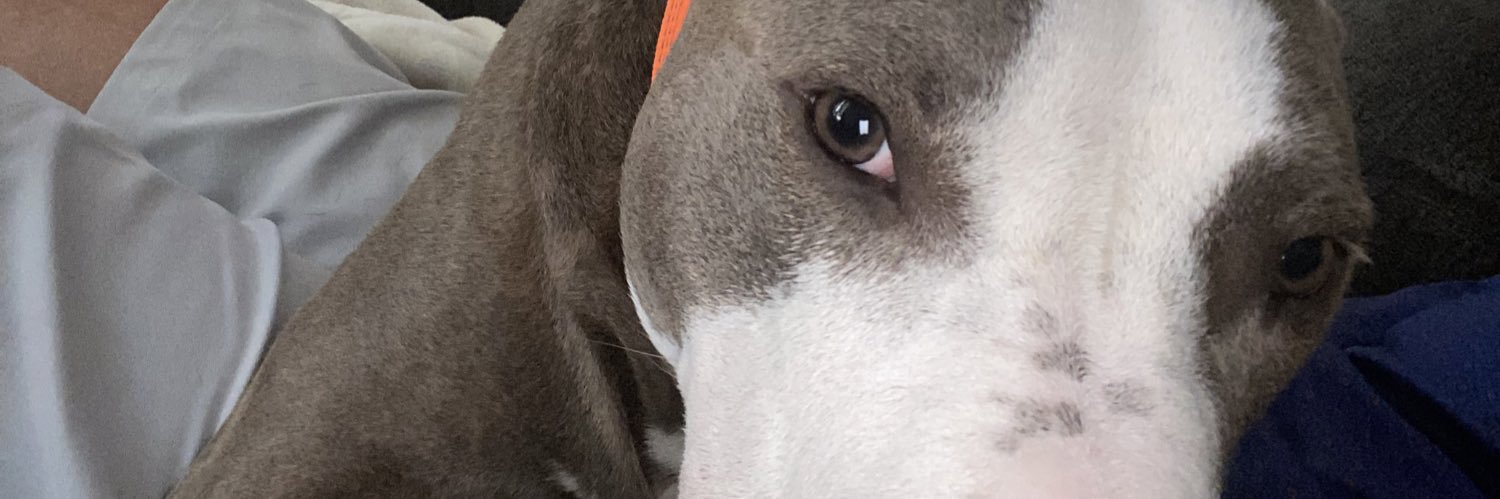 SuarTender's profile banner image