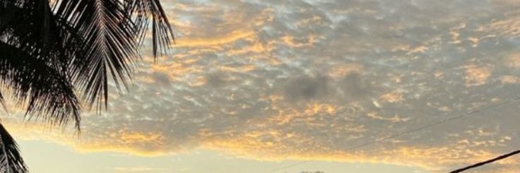 wellernor's profile banner image