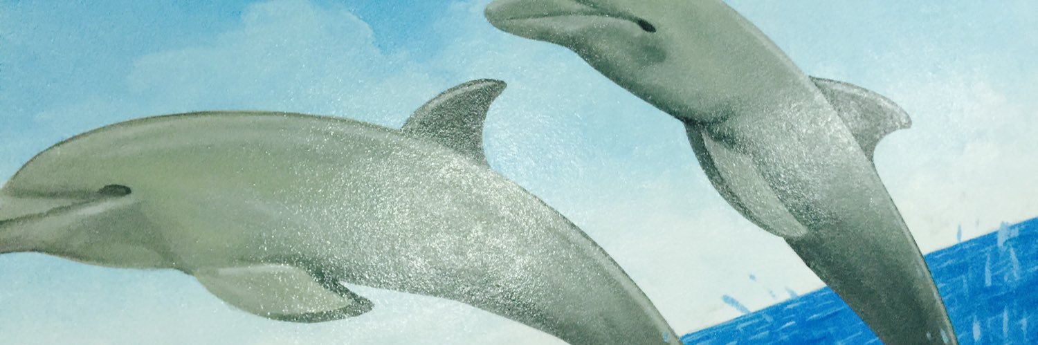 يوسف بن محمد banner