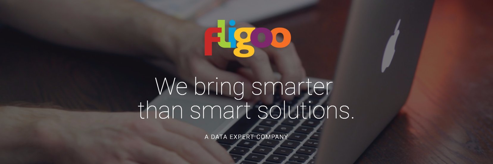 fligoo banner