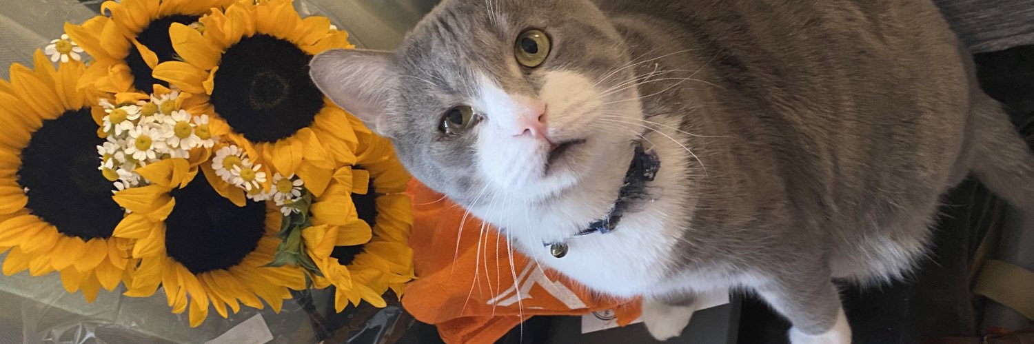 TropicalTrizzy's profile banner image