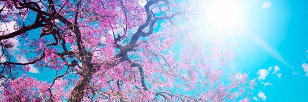 bogglethemind83's profile banner image