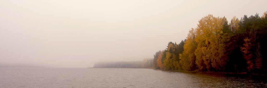 soy sauce 🦊 banner