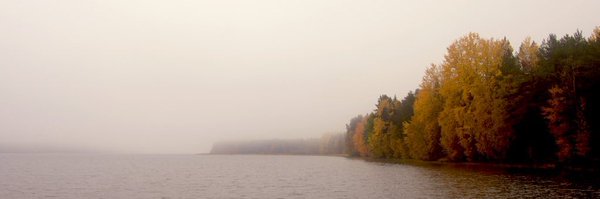 soysauuce Profile Banner