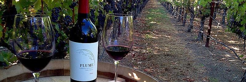 PlumeWinery's profile banner image