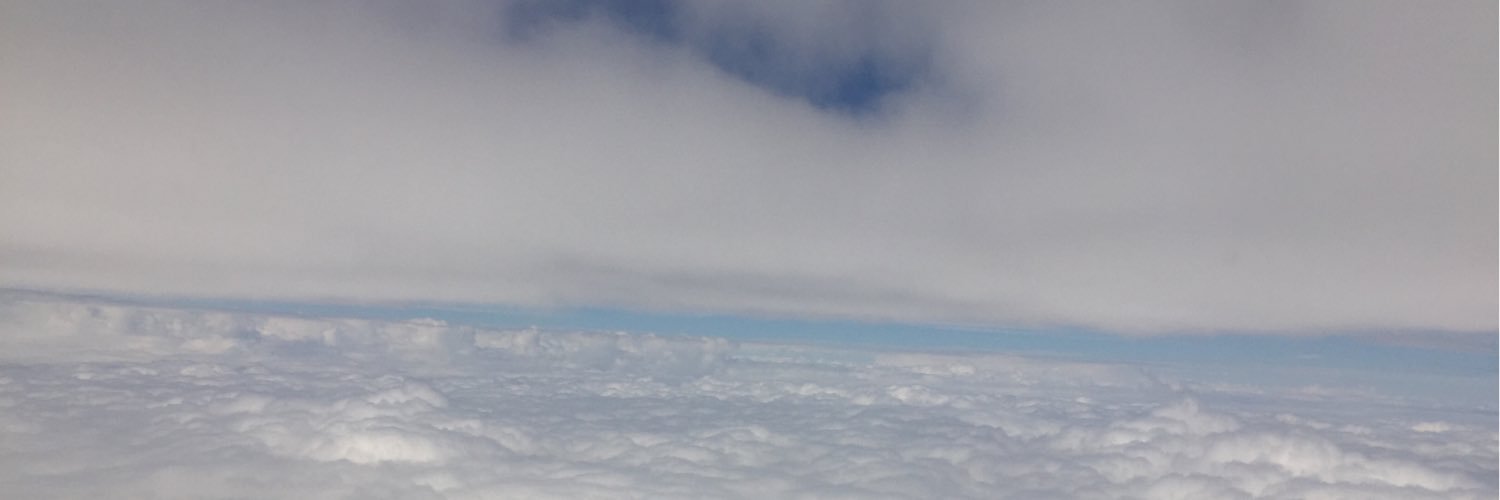 Toni Piehl banner