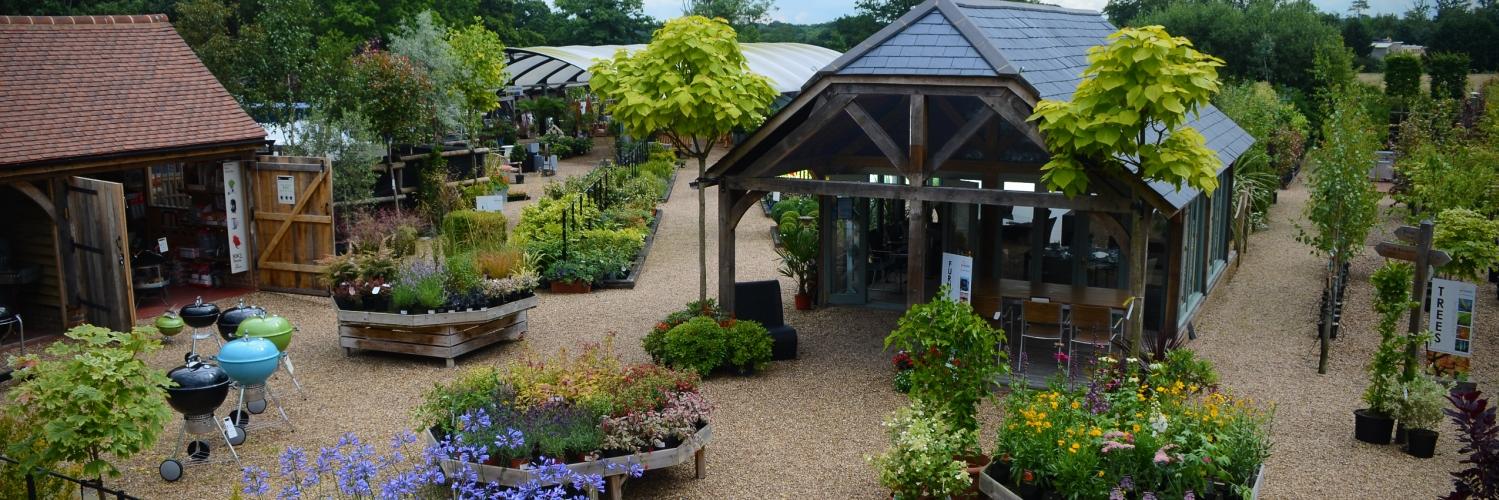 Cedar Nursery - Plants and Outdoor Living banner