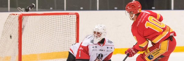 JJARLEFELT Profile Banner