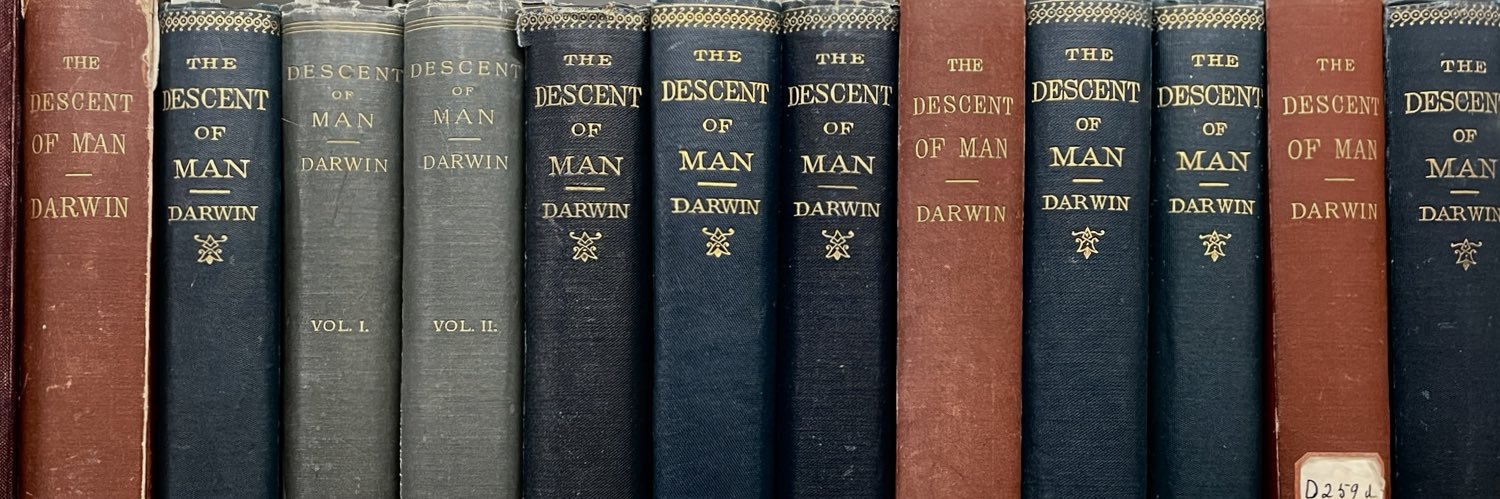 Henry-James Meiring banner