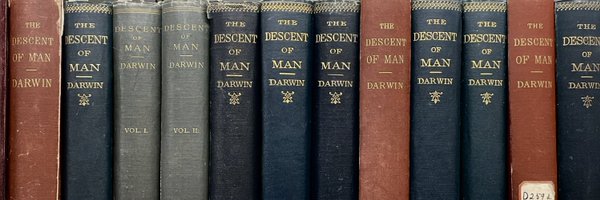 Freudzter Profile Banner