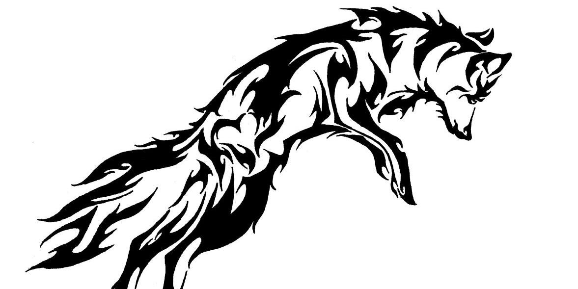 Furry_Blue_Fox's profile banner image