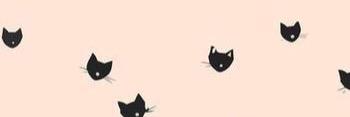 bigMACdermott's profile banner image