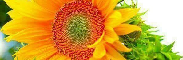 withpranay's profile banner image
