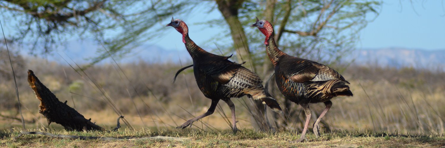 NM Game and Fish banner