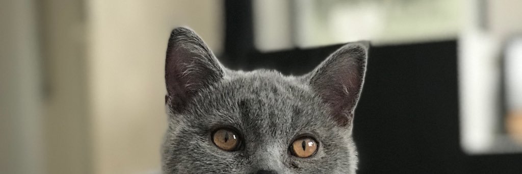 EmmaEnroth's profile banner image