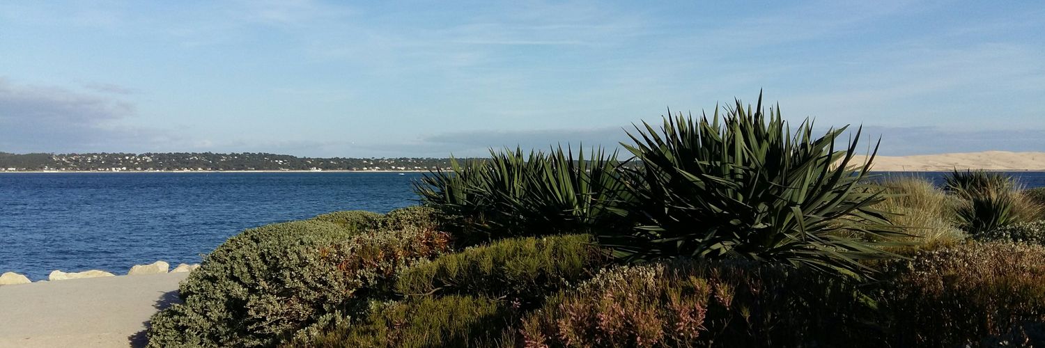 mathou024's profile banner image