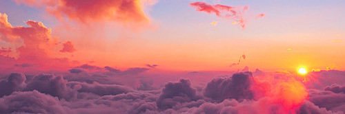 Cakedupyani💋🧁 banner