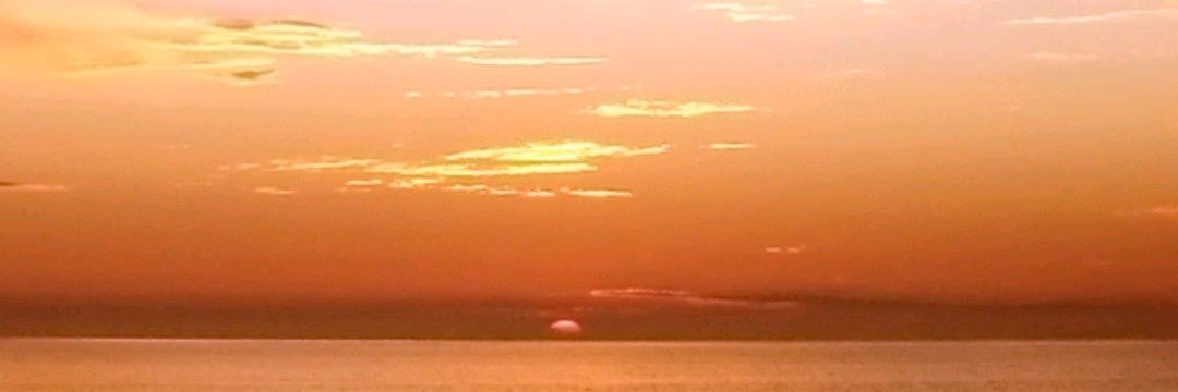 willa_45's profile banner image
