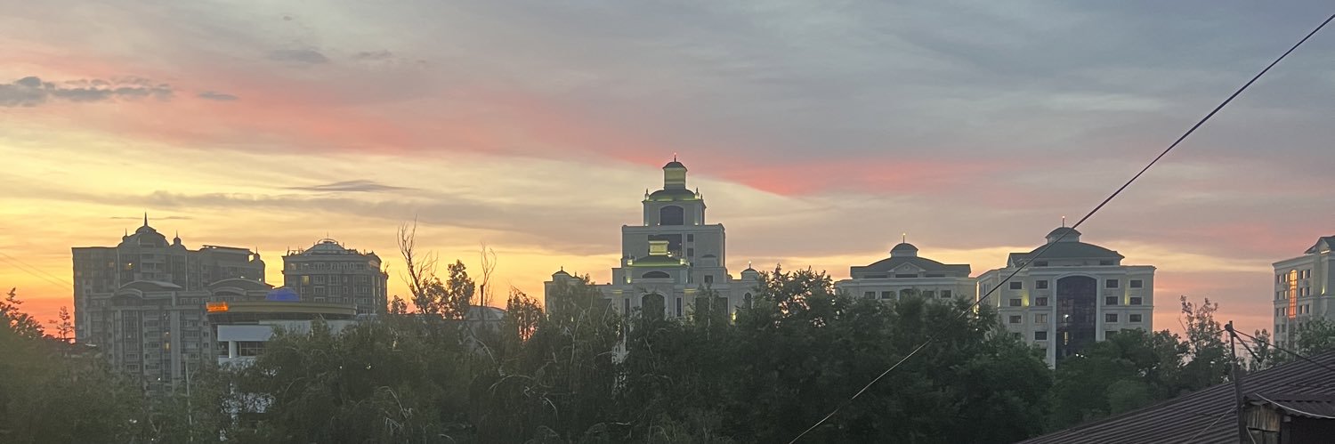 AiLepesova's profile banner image