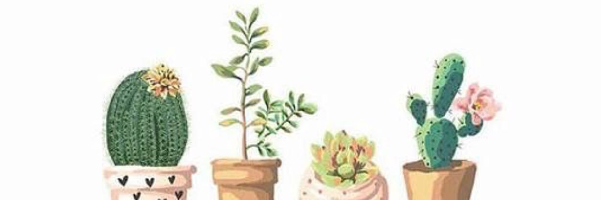 johnanona's profile banner image