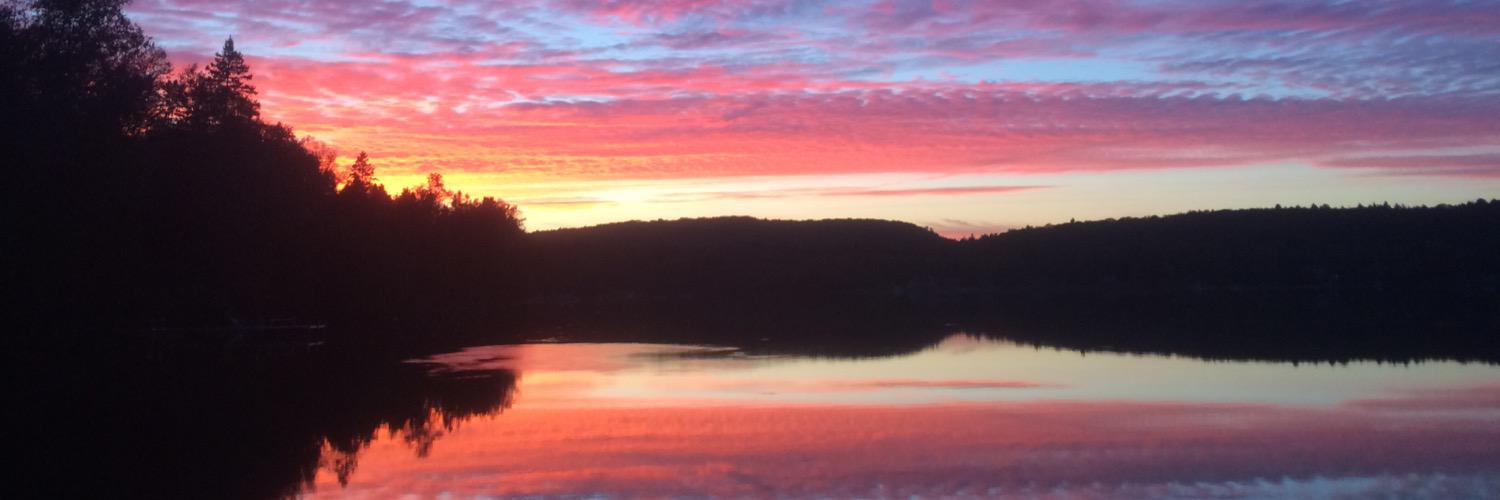 Stephen Prime banner