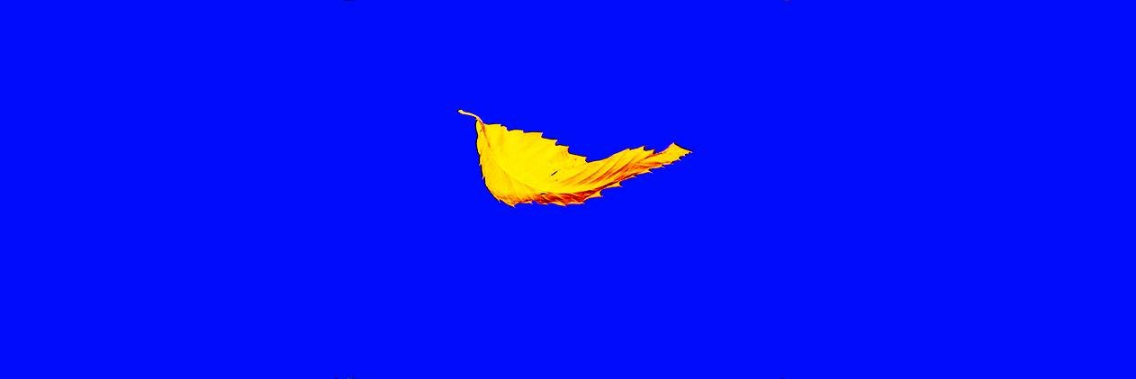 collinjoyce's profile banner image