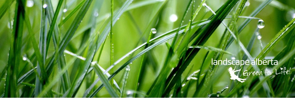 LandscapeAB's profile banner image