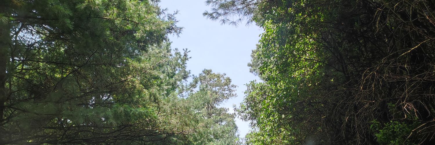 Aztonio's profile banner image