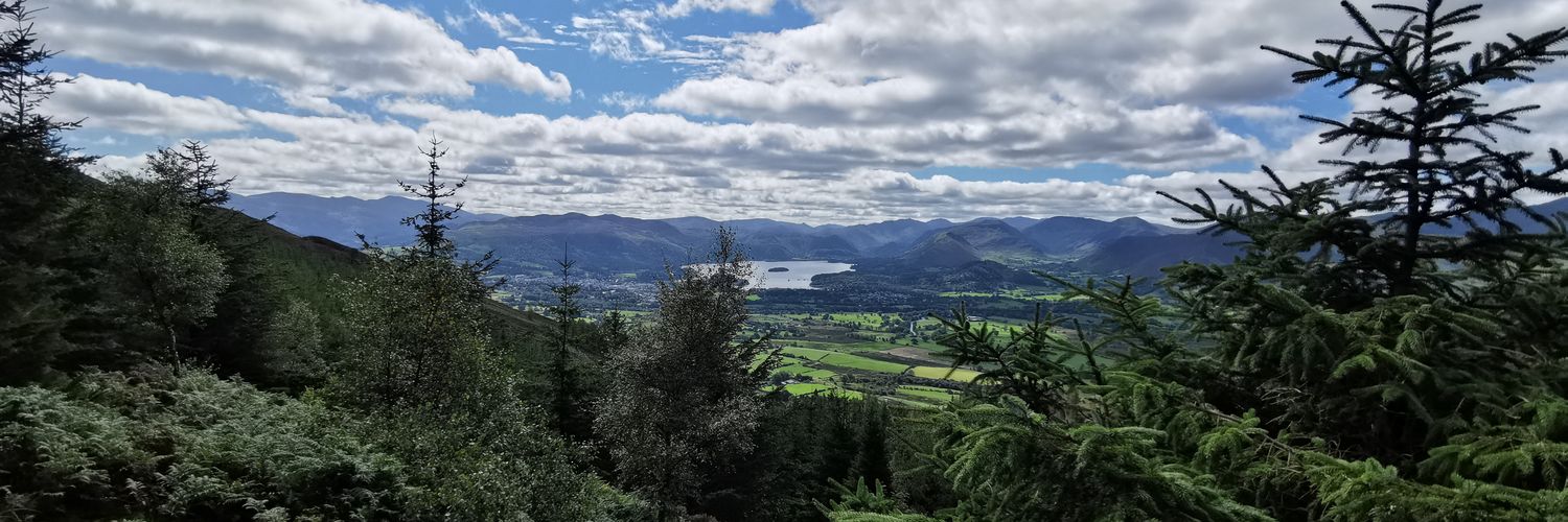 mtunney1983's profile banner image