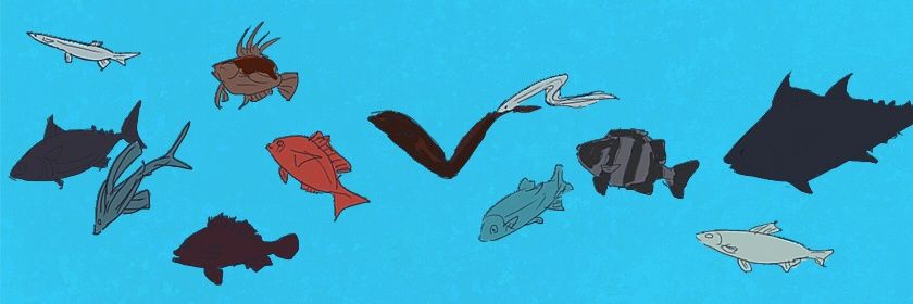 trickyqooo's profile banner image
