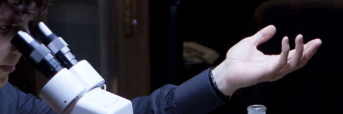 thisdancinghart's profile banner image