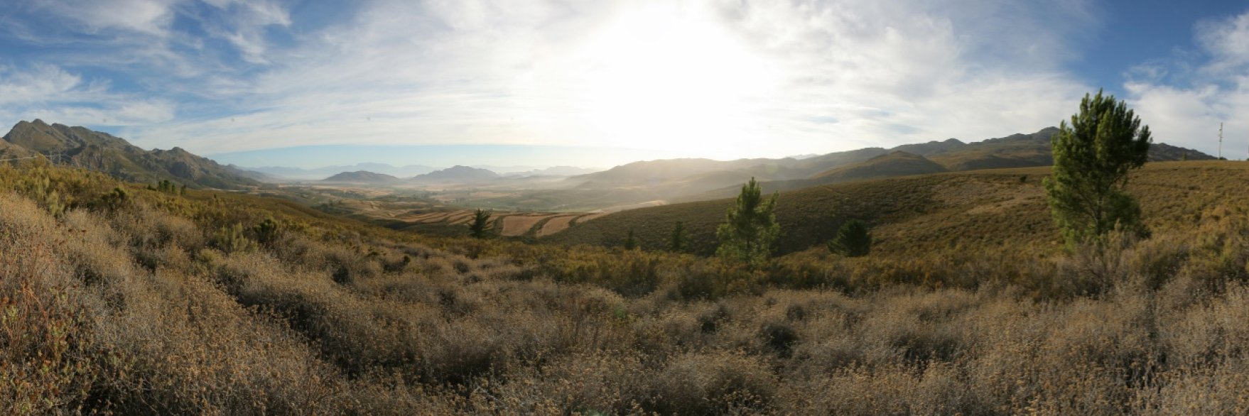 deonkretch's profile banner image