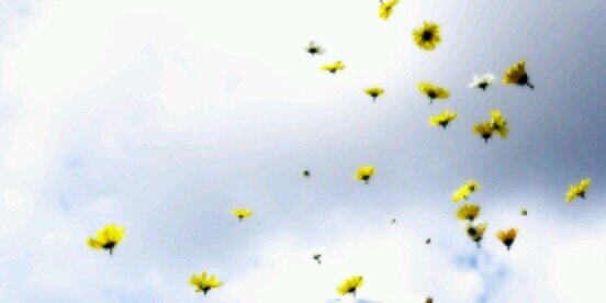 afraa8's profile banner image