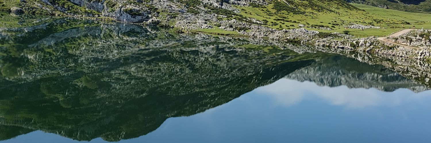 nurialls's profile banner image