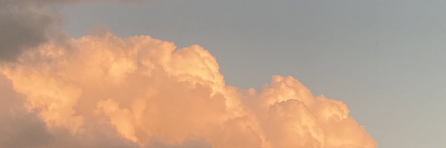 juliayntema's profile banner image