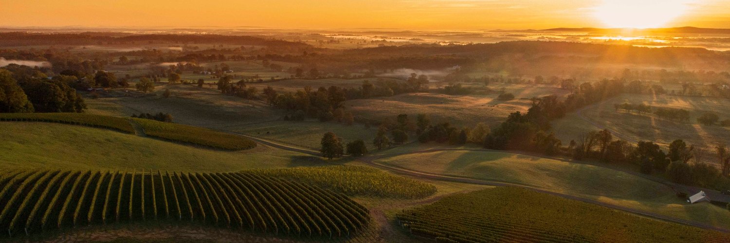 VAWine's profile banner image