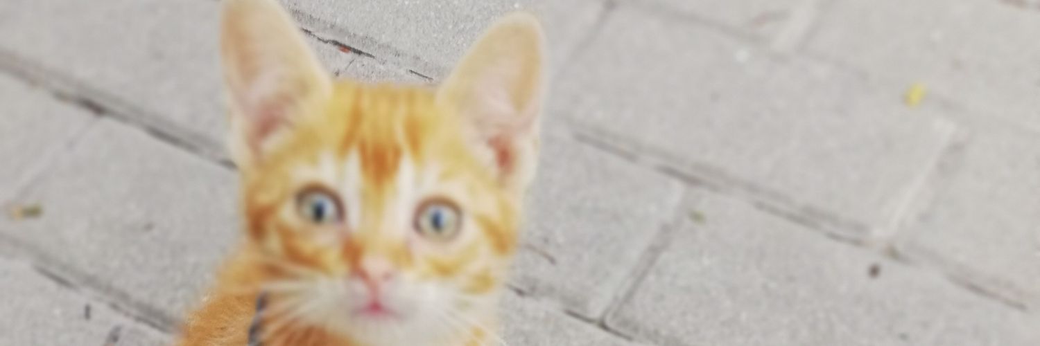 EvaSaugar's profile banner image