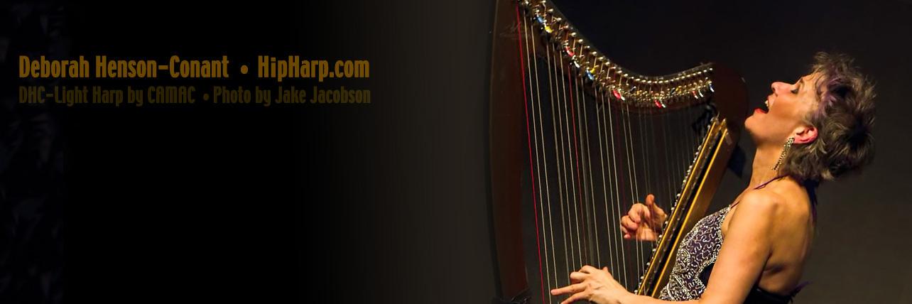 HipHarpist's profile banner image