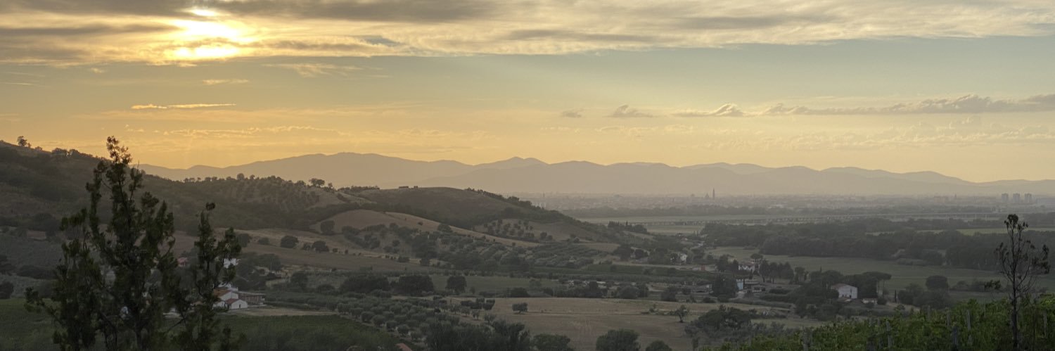 francescowolf's profile banner image