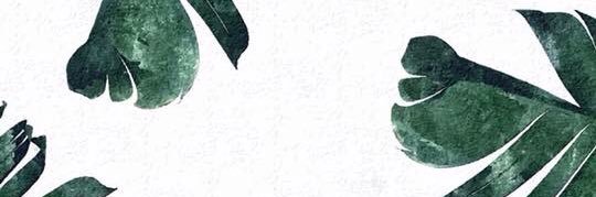 supichasri's profile banner image