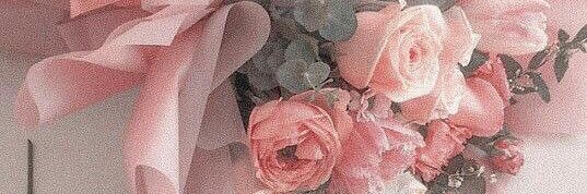 mnpm_______'s profile banner image