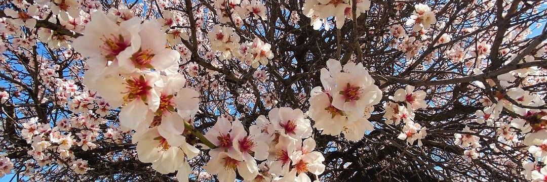 Tugba_celiikk's profile banner image