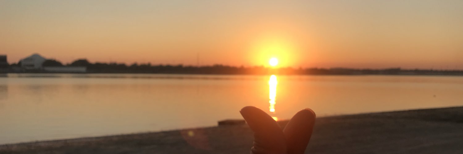lenses22's profile banner image