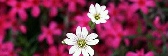 prashant1212ab's profile banner image