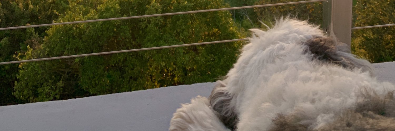 enachitx's profile banner image