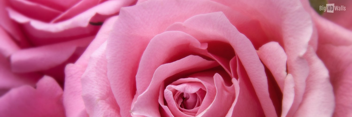 _bgriffiths's profile banner image