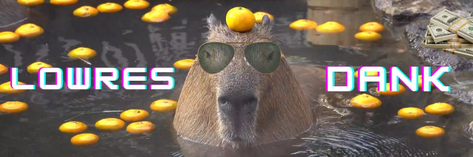 LowResDank's profile banner image
