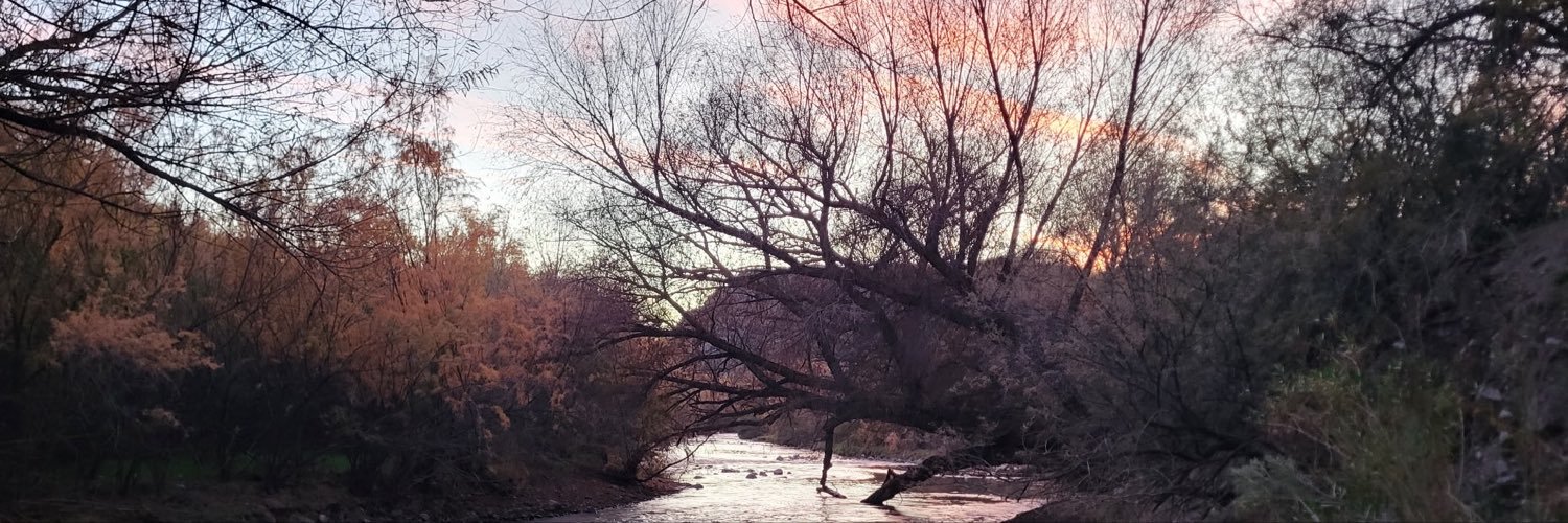 NikkiChats1's profile banner image