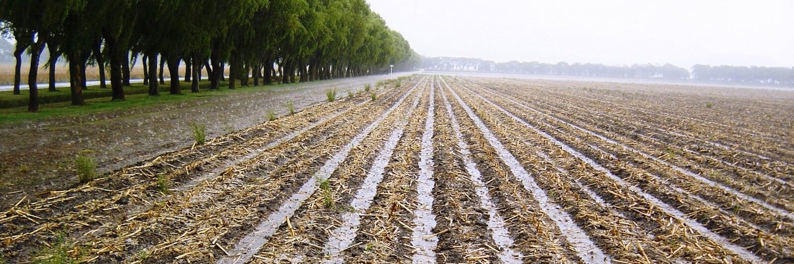 ConservationAg's profile banner image